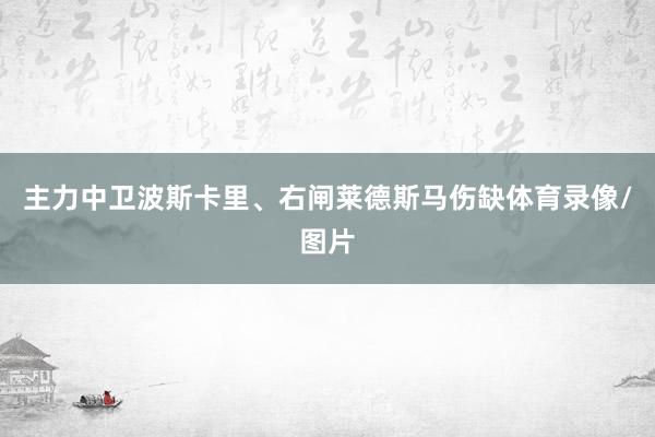 主力中卫波斯卡里、右闸莱德斯马伤缺体育录像/图片