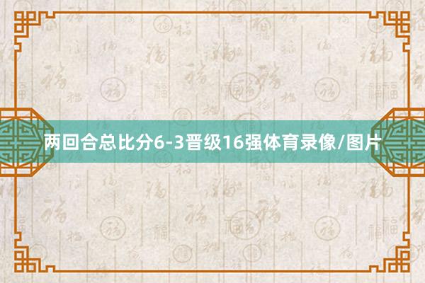 两回合总比分6-3晋级16强体育录像/图片
