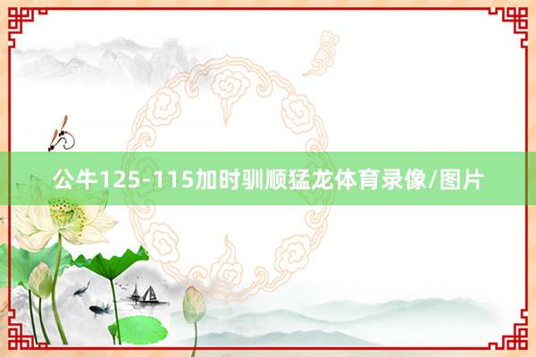 公牛125-115加时驯顺猛龙体育录像/图片