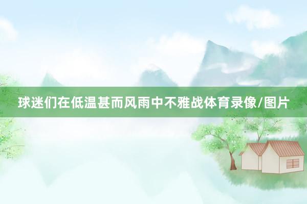 球迷们在低温甚而风雨中不雅战体育录像/图片