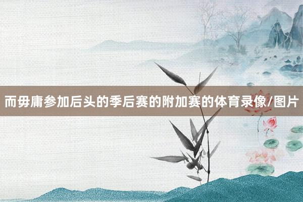 而毋庸参加后头的季后赛的附加赛的体育录像/图片